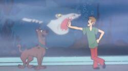 There's a Demon Shark in the Foggy Dark There's a Demon Shark in the Foggy Dark