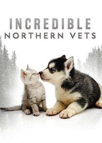 Incredible Northern Vets Incredible Northern Vets