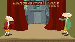 63. Анатомический театр 63. Анатомический театр