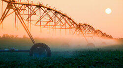 Future Farms Future Farms