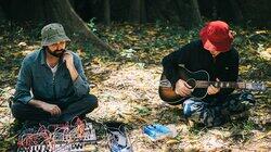 Animal Collective: The Amazon