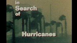 Hurricanes Hurricanes