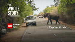 Elephant Vs. Man Elephant Vs. Man