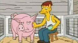 Simple Simpson Simple Simpson
