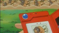 The Flame Pokémon-athon! The Flame Pokémon-athon!