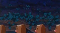 Dig Those Diglett! Dig Those Diglett!