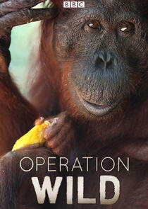 Operation Wild Operation Wild