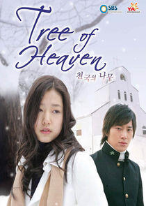 Tree of Heaven Tree of Heaven