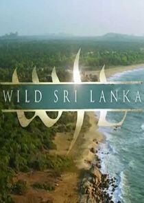 Wild Sri Lanka Wild Sri Lanka