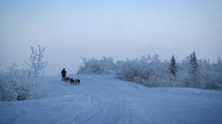 Hounds of the Arctic Hounds of the Arctic