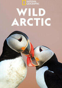 Wild Arctic Wild Arctic