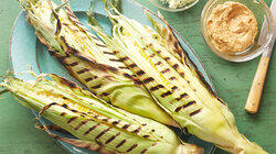 Fieri Tailgate Fuel Fieri Tailgate Fuel