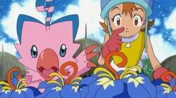 Biyomon Gets Firepower Biyomon Gets Firepower