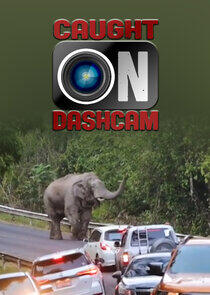 Caught on Dashcam