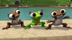 Odd Frog Out Odd Frog Out
