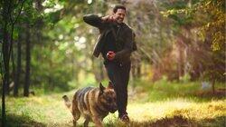 Into the Wilds Into the Wilds