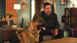 Runaway Witness Runaway Witness