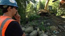 Timber in Their Blood Timber in Their Blood