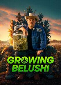 Growing Belushi Growing Belushi