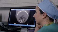 Whose Embryos?
