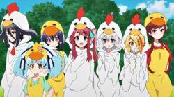 The Nice Bird SAGA in Your Heart The Nice Bird SAGA in Your Heart