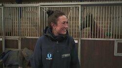 North vs South North vs South