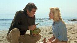 Carnival / The Vaudevillians