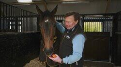 The Comeback The Comeback