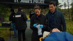 Bird's Eye View Bird's Eye View