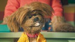 Where's Dodge? Where's Dodge?