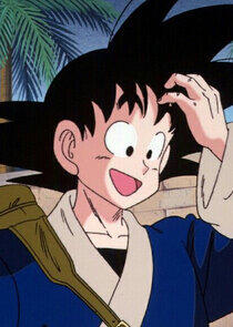Son Goku Son Goku