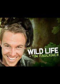 The Wild Life of Tim Faulkner The Wild Life of Tim Faulkner