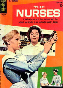 The Nurses The Nurses