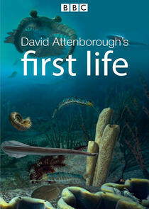 David Attenborough's First Life David Attenborough's First Life