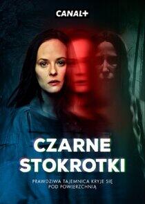 Czarne stokrotki Czarne stokrotki