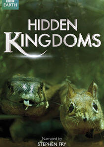 Hidden Kingdoms Hidden Kingdoms