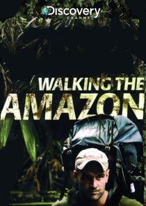 Walking the Amazon Walking the Amazon