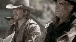 Cattle War Cattle War