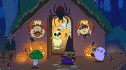 The Spookyween Witch The Spookyween Witch
