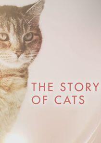 The Story of Cats The Story of Cats