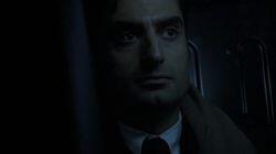 Day 7 Day 7
