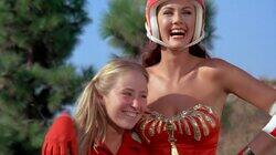 Skateboard Wiz Skateboard Wiz