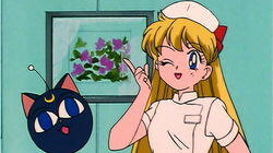 Venus Minako's Nurse Mayhem Venus Minako's Nurse Mayhem