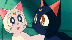 Artemis' Adventure: The Monster Animal Kingdom Artemis' Adventure: The Monster Animal Kingdom