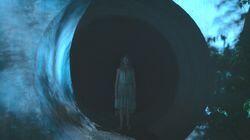Down The Rabbit Hole Down The Rabbit Hole
