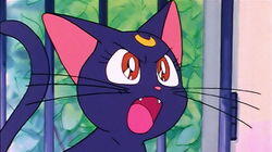 A Girl's Dream: Usagi Becomes a Bride A Girl's Dream: Usagi Becomes a Bride