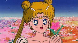 Returning Memories: Usagi and Mamoru's Past