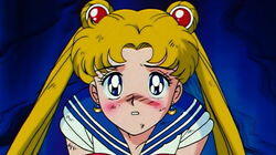 Usagi's Eternal Wish: A Brand New Life Usagi's Eternal Wish: A Brand New Life