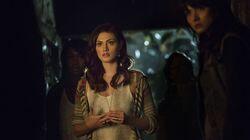 The Originals The Originals