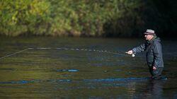 Salmon: River Tweed, Scotland Salmon: River Tweed, Scotland